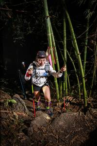 BIB: 
                            <button type="button" onclick="openModal(7008314)" class="btn btn-primary btn-sm float-right btn-popup" data-toggle="modal" data-target=".modal-high-quality">
                        <i class="fas fa-shopping-cart"></i> Add to Cart
                    </button>
                                            <button type="button" onclick="isThisMe(7008314, true)" class="btn btn-success btn-sm float-right btn-popup btn-isme hidden" data-toggle="tooltip" data-placement="bottom" title="นี่คือรูปของคุณใช่ไหม คลิกที่นี่เพื่อเอาเข้าอัลบั้ม">
                        <i class="fas fa-plus"></i> Add to album
                    </button>
                    <button type="button" onclick="isThisMe(7008314, false)" class="btn btn-warning btn-sm float-right btn-popup btn-isnotme hidden">
                        <i class="fas fa-ban"></i> Remove from album
                    </button>